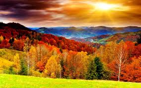 Check spelling or type a new query. Autumn Scenes Wallpapers Top Free Autumn Scenes Backgrounds Wallpaperaccess