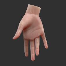 3d Realistic Female Hand Rigged Female Anatomy Reference Zbrush Hand Reference Handy is an artist's reference tool consisting of a rotatable 3d lit hand with a variety of poses useful for drawing. 3d realistic female hand rigged