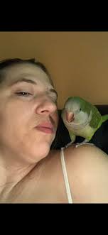 Pup needs help!! Please share and comment