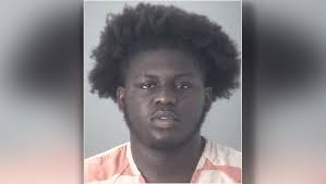 PCSO: 2 teens charged with 5 counts of attempted murder in Lake Padgett  Estates drive-by shooting