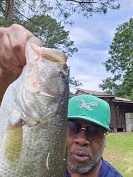 Fishing for Big Bass at Private Pond in Zebulon, NC