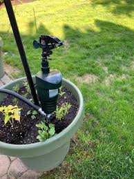 How to deter animals in the garden? How To Keep Cats Out Of The Garden Without Hurting Them The Honeycomb Home