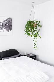 Make A Hanging Planter Out Of An Ikea Blanda Blank Stainless Steel Bowl House Plant Care Pothos Plant Care Pothos Plant