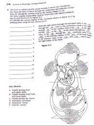 Fill in the blanks, labelling and colouring diagrams, crosswords ect. Solved 218 Anatomy Physiology Coloring Workbook 2 The Chegg Com