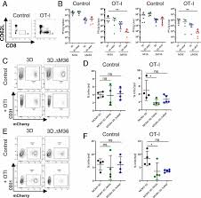 Een dag in 't jaar: Cytomegalovirus Inhibition Of Extrinsic Apoptosis Determines Fitness And Resistance To Cytotoxic Cd8 T Cells Pnas
