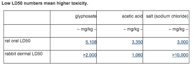 the truth about toxic wheat huffpost