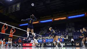 Volleyball vs Louisville