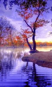 Check spelling or type a new query. Gif Animations For All Tastes On G Beautiful Nature Pictures Nature Photography Nature Pictures