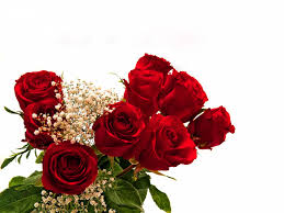 Check spelling or type a new query. Beautiful Rose Flowers Wallpapers Wallpaper Cave