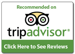 Trip advisor