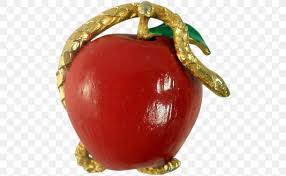 We did not find results for: Brooch Pin Apple Jewellery Garden Of Eden Png 504x504px Brooch Apple Christmas Christmas Ornament Food Download