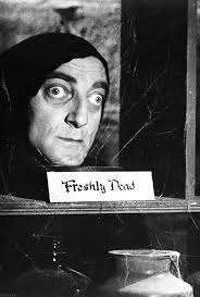 What theater in Schaumburg showed Young Frankenstein in 1974?