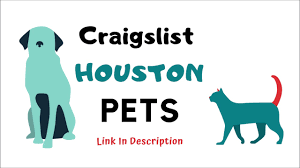 To see the full list, use the properties taking safety measures filter on this page. Toledo Craigslist Pets