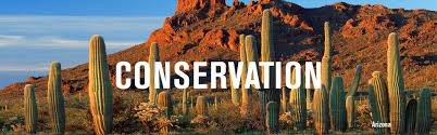 Water slow and deep with in ground cacti, this seems to really keep them from stressing so much and grow more evenly. Landscaping Arizona Department Of Water Resources