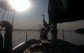 Boating The Water Wonderlands Of South Puget Sound The
