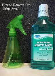 How To Remove Cat Urine From Carpet Cat Urine Remover Cat Urine Smells Cat Urine