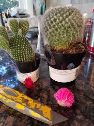 The most common flowers on cactus material is cotton. Did A Little Cactus Surgery They Came With Hot Glued On Plastic Flowers Home Depot Strikes Again Gardening Garden Diy Plastic Flowers Flowers Cactus