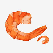 كرتون الربيان المواد كرتون الروبيان المواد الجلد الروبيان Png وملف Psd للتحميل مجانا Fruit Shrimp Seafood