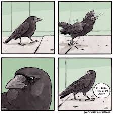 Pin By Kyle Gothur On Archangel Haniel Funny Comics Funny Pictures Cute Comics