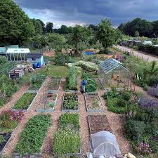Our Permaculture Plot In June Is The Best Place You Can See The No Dig Kitchen Garden Cottage Garden To The Right Green Hous Garten Bauerngarten Permakultur