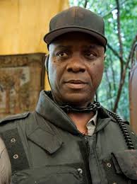 Robert Wisdom Movies & TV Shows List