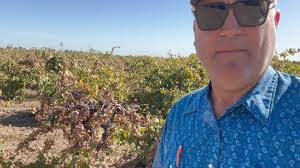 Jennifer Larrick's Instagram, Twitter & Facebook