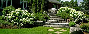 You can trust our talented team to design and execute a fantastic experience for you in throughout browse our wide range of fun and rewarding indoor and outdoor team building activities that are. Landscape Design Services Kitchener Waterloo Landscape Design Build