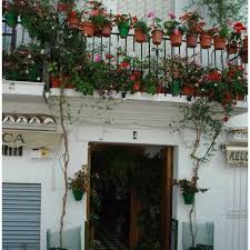 Marbella Spain Spanish Style Homes Spain Summer Travel