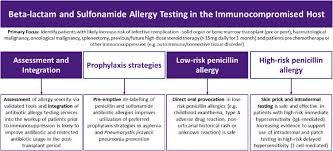 Immunocompromised people need to be careful not to weaken their immune system even further. Beta Lactam And Sulfonamide Allergy Testing Should Be A Standard Of Care In Immunocompromised Hosts The Journal Of Allergy And Clinical Immunology In Practice