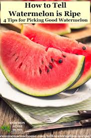 Watermelon knocking and listening for a hollow sound is indeed a near universal concept. How To Tell If A Watermelon Is Ripe 4 Tips To Pick A Good Watermelon