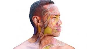 PBS Arts and Community Guide