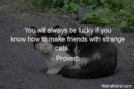 Maybe you would like to learn more about one of these? Proverb Quote You Will Always Be Lucky If You Know How To Make Friends With Strange Cats
