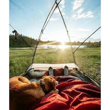 Pin On Campingvibes