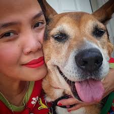 deceased dog found in Hermiston area