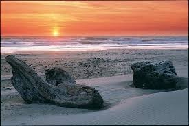 There are plenty of things to do at devil's lake state recreation area to make use of the great outdoors. Lincoln City Pacific Ocean Beach Driftwood Bild Von Lincoln City Oregon Coast Tripadvisor