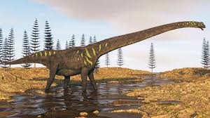 The dating process is always designed to try to extract the carbon from a. How Do Scientists Determine The Age Of Dinosaur Bones Howstuffworks