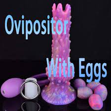 Oviposition Eggs - Etsy Israel
