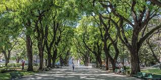 9 de julio, storni, pje. San Martin Plaza History And Fresh Outdoors Air Free Tour Buenos Aires