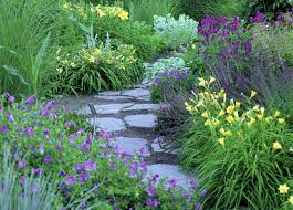 1379 concession 10, formosa, ontario, canada ph: Artistic Perennial Combinations Landscape Ontario