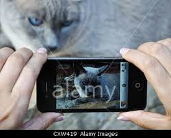 Explore istock™ by getty images. Stock Photo Agency Alamy Now Allows Mobile Photos Digital Photography Review