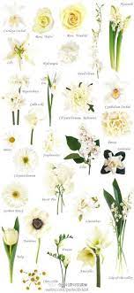 The character description is obviously unique and attractive. 18 Afskorin Blom Tegundir Og Litir Ideas Flower Guide Flower Names Types Of Flowers