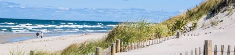 Choose from top rated ma inns, hotel suites and vacation rentals. The Best Cape Cod Pet Friendly Vacation Rentals Tripadvisor Book Pet Friendly Vacation Rentals In Cape Cod