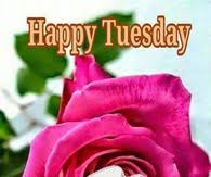 Good morning friends and family have a nice tuesday. Good Morning Tuesday Quotes Pictures Photos Images And Pics For Facebook Tumblr Pinterest And Twitter