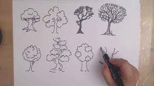 On both sides of your roots, draw a long line that curves out toward the top. How To Draw A Tree 8 Different Ways Drawing Trees Youtube