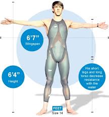 Leider ergab deine suche keine. Michael Phelps The Man Who Was Built To Be A Swimmer