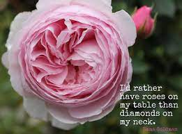 Pin On Inspirational And Motivational Quotes