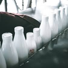 A Beginners Gide to Taking Beautiful Milk Bath Photography