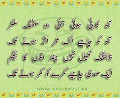40 Best Funny Urdu Poetry | مزاحیہ شاعری images | Urdu poetry ...