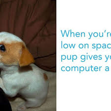 See more ideas about funny animal memes, dog memes, cute funny animals. Funny Dog Memes Clean Funny Dog Memes 2018 Dog Meme Face Cute Dog Memes Dog Memes Best Dog Memes Lustige Hund Meme Hund Funnies Hunde Memes