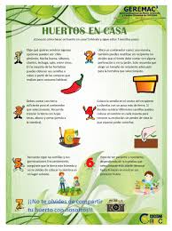 El día 28 de junio se conmemora el día mundial del árbol. 28 De Junio Dia Mundial Del Arbol Fecha Importante Para Recordar En El Equilibrio De La Naturaleza Sitio Oficial Cocesna